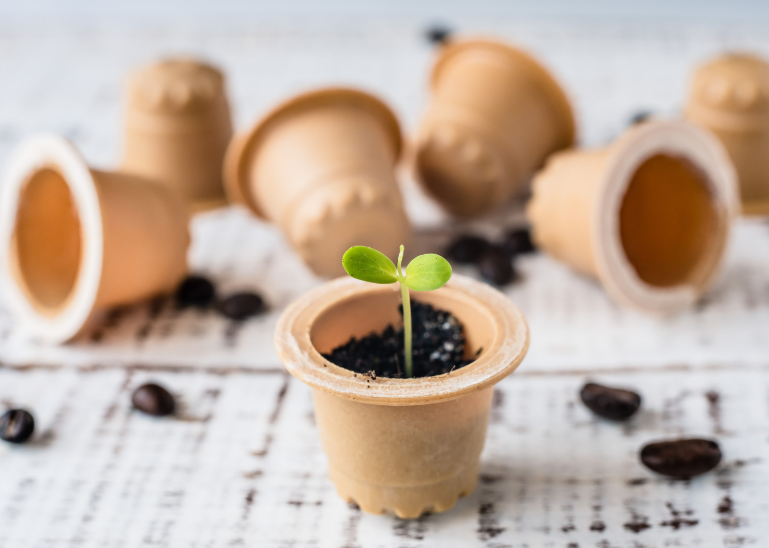 Capsule compostabili: il futuro del caffè